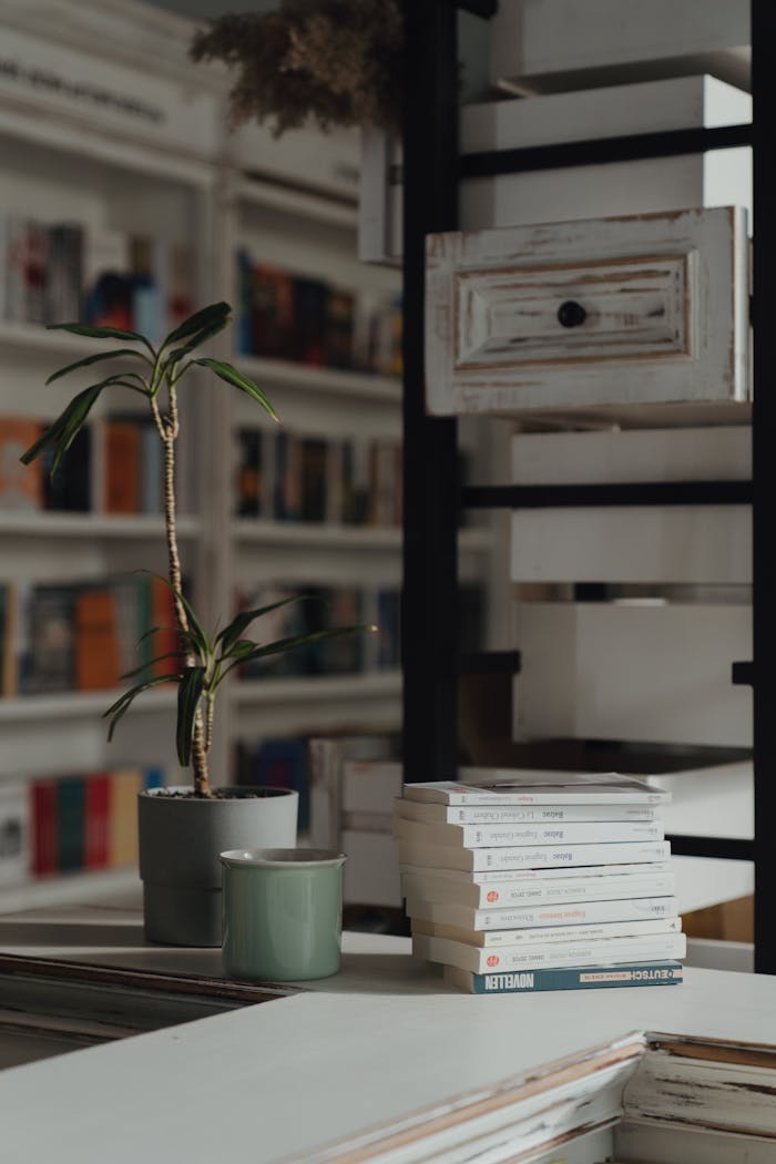 Inviting bookstore interior featuring a decorative plant and a stack of books on a counter.